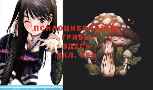 крисы Абинск