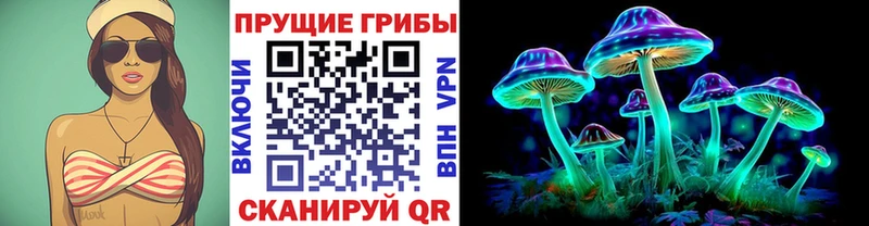 Псилоцибиновые грибы GOLDEN TEACHER  где купить наркоту  Азнакаево 